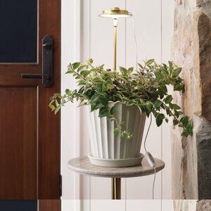 NIB Hearth and Hand Grow Gold Lamp 16”